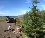 photo (11)
