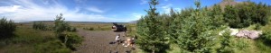 photo (11)
