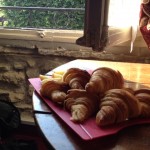 photo (15)