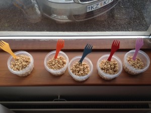 photo (4)