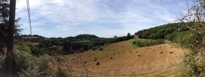 This hay field functions as our front yard. Our current home is on the right ... and a Dordogne chateau is in the center of the photo, in the distance.