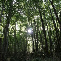 A peaceful scene during a recent, reflective morning walk.