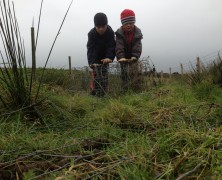 Friends of the Lake District