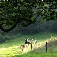 Footpath Hospitality
