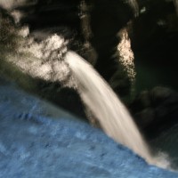 IMG_4529
