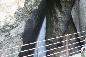 IMG_4586