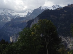 From H's window
