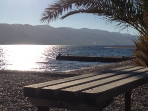 bench with a view
