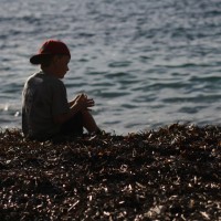 IMG_7241