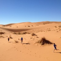 IMG_6303