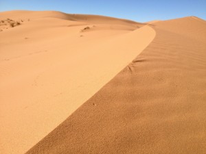photo (31)