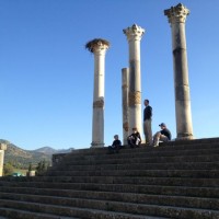 photo (9)