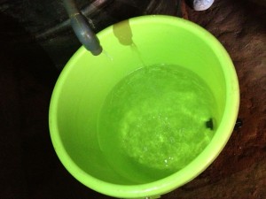 IMG_1665