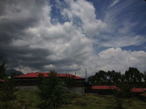 IMG_1837