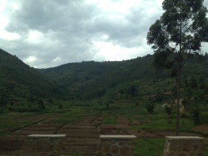 IMG_8288
