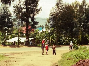 IMG_8350