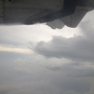 Thunderstorms, Owls, Haircuts