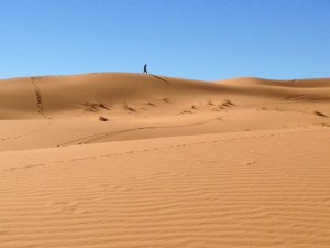 Orange of Sahara sand dunes...