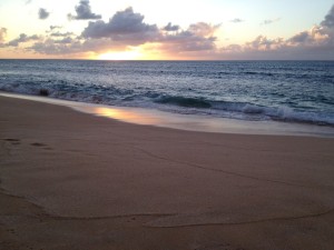 20130615-223100.jpg